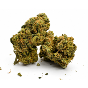 BLUEBERRY MUFFIN CBD - Interior - Imagen 1