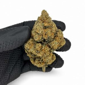 PACK SIBARITA 12g - Imagen 2