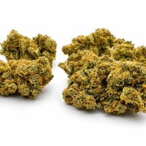 BLUEBERRY MUFFIN CBD - Interior - Imagen 3