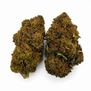OG KUSH - Híbrido de EE.UU - Imagen 4
