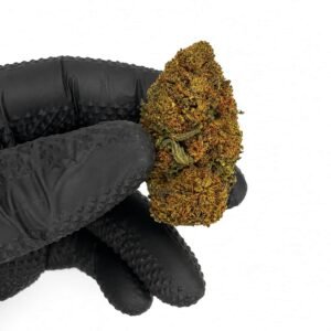 OG KUSH - Híbrido de EE.UU - Imagen 5