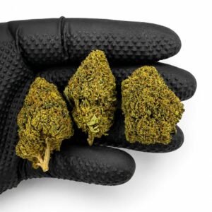 PACK LOW COST 12g - Imagen 2