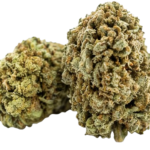 super skunk - greenhouse