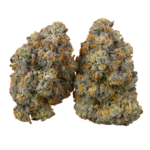 White Cheese CBD flor indoor