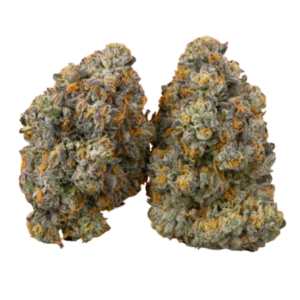 White Cheese CBD flor indoor