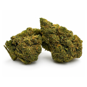 RUNTZ CBD - Interior - Imagen 1