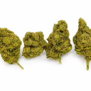 RUNTZ CBD - Interior - Imagen 3