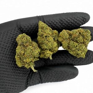 RUNTZ CBD - Interior - Imagen 2