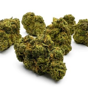 RUNTZ CBD - Interior - Imagen 4