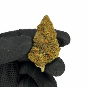 SUNSET SHERBET CBD - Interior - Imagen 2