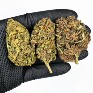 PACK LOW COST 12g - Imagen 4