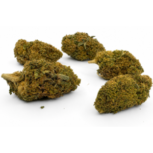 PACK LOW COST 12g - Imagen 1