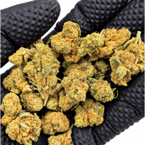 Smallbuds Amnesia JSH 5g - Interior - Imagen 1