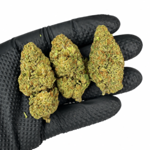 White Cheese - Indoor - Imagen 3
