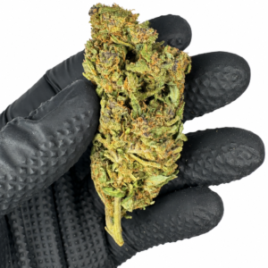Strawpipe - Greenhouse - Imagen 2