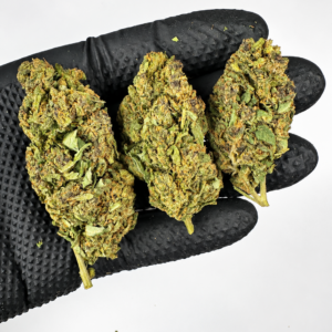 Strawpipe - Greenhouse - Imagen 3