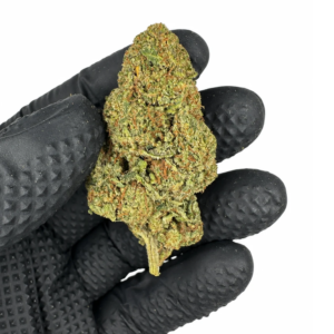 White Cheese 3g – Indoor - Imagen 1