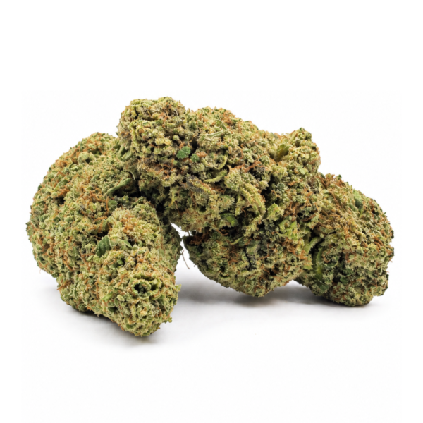 White Cheese CBD flor indoor